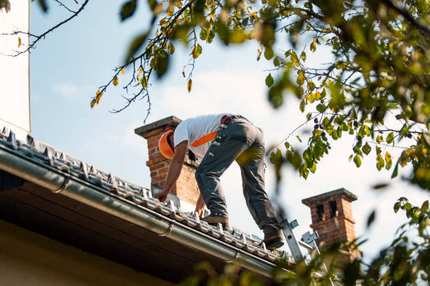 Best Sealant for Roof  in Roscommon, MI