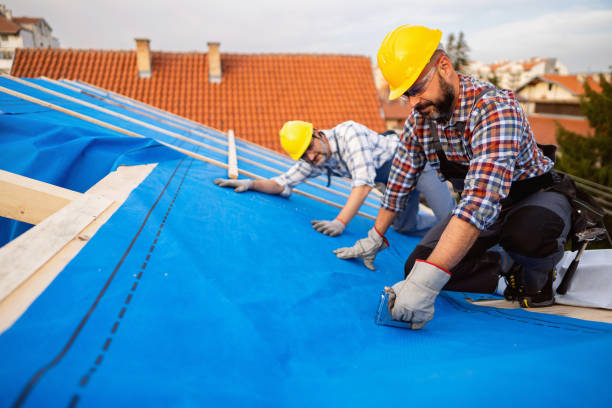 Best Flat Roof Repair Services  in Roscommon, MI