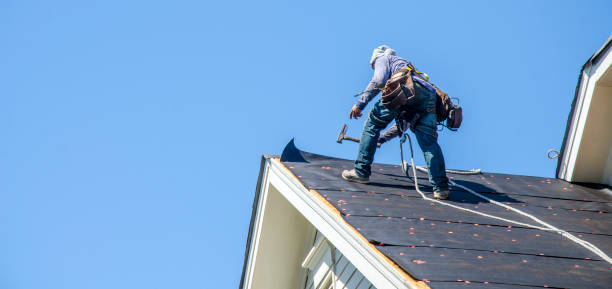 Best Metal Roofing Contractor  in Roscommon, MI